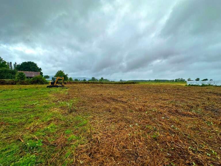 blackberry-clearing-in-oregon