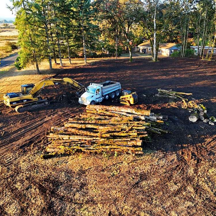 scappoose-lot-clearing