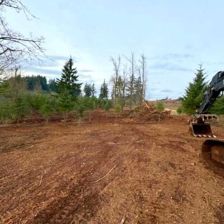 land-clearing-1